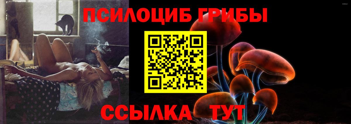 Саянск  Галлюциногенные грибы Psilocybe  Вход с VPN 